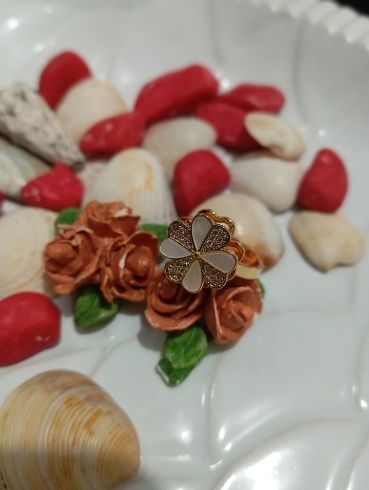 ayarlanabilir döner başlıklı yüzük - Görsel 2