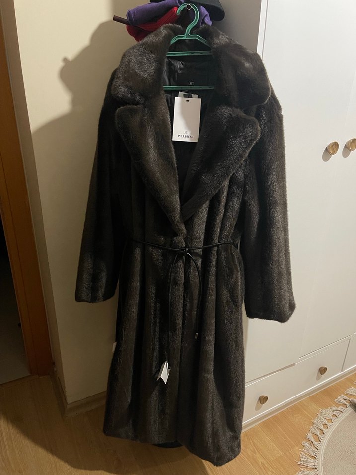 Suni kürk kaban - Görsel 3