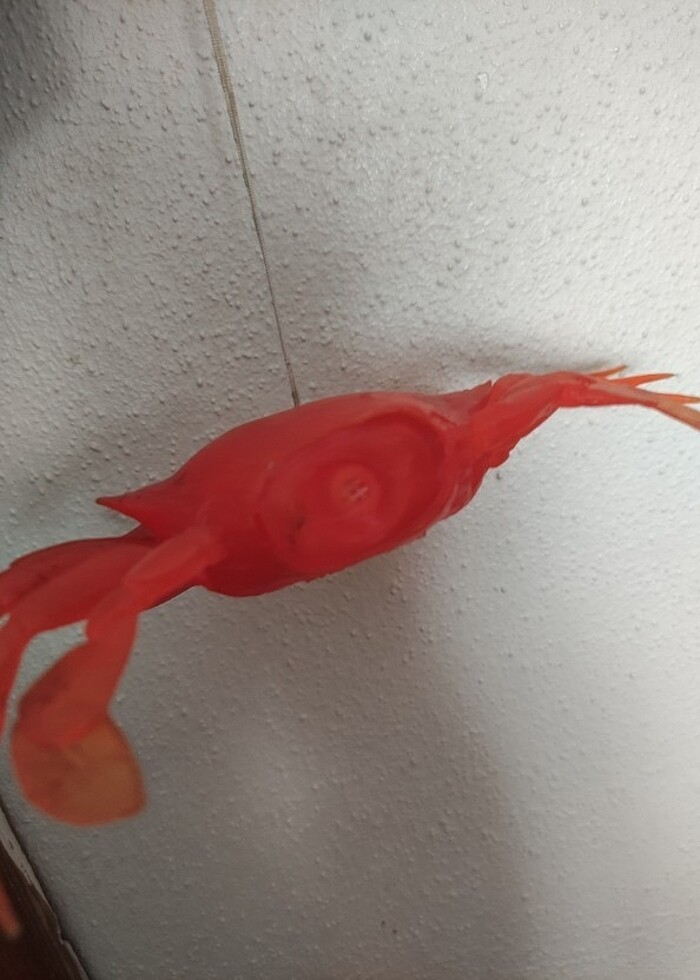 Silikon yengeç  - Görsel 2