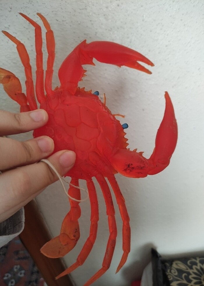 Silikon yengeç  - Görsel 5