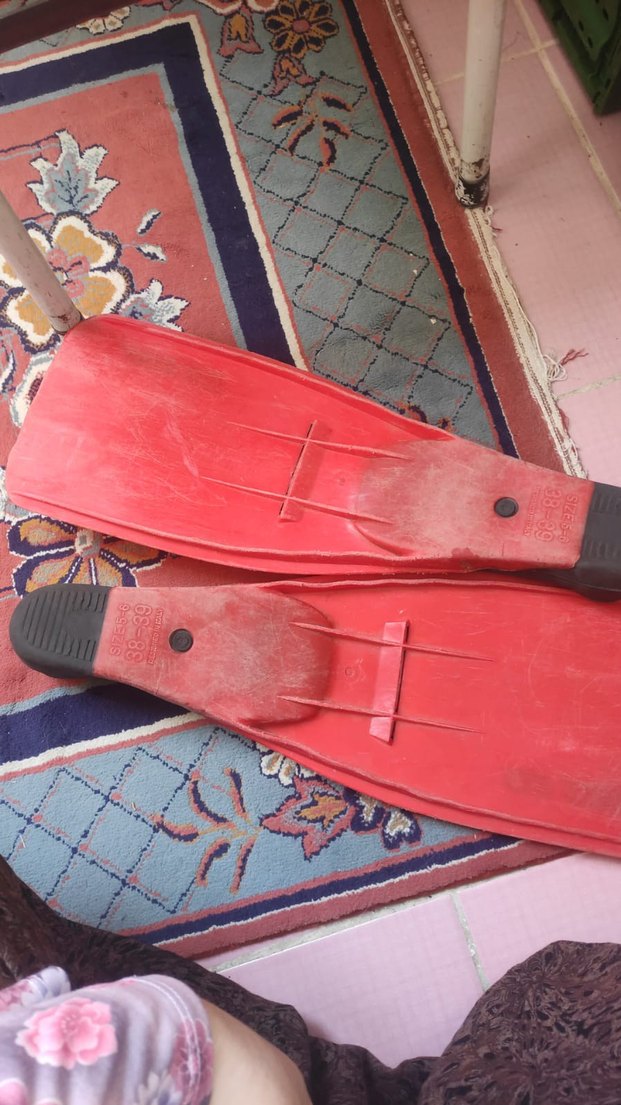 Kırmızı deniz paleti - Görsel 4