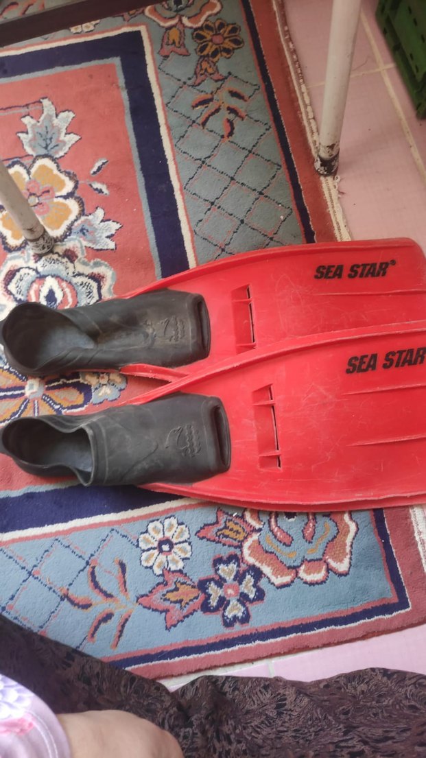 Kırmızı deniz paleti - Görsel 3