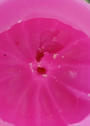 balkabagı silikon kalıp - Görsel 2