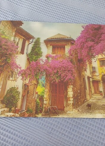 Beden pembe Renk 10D 3D tablo duvar süsü