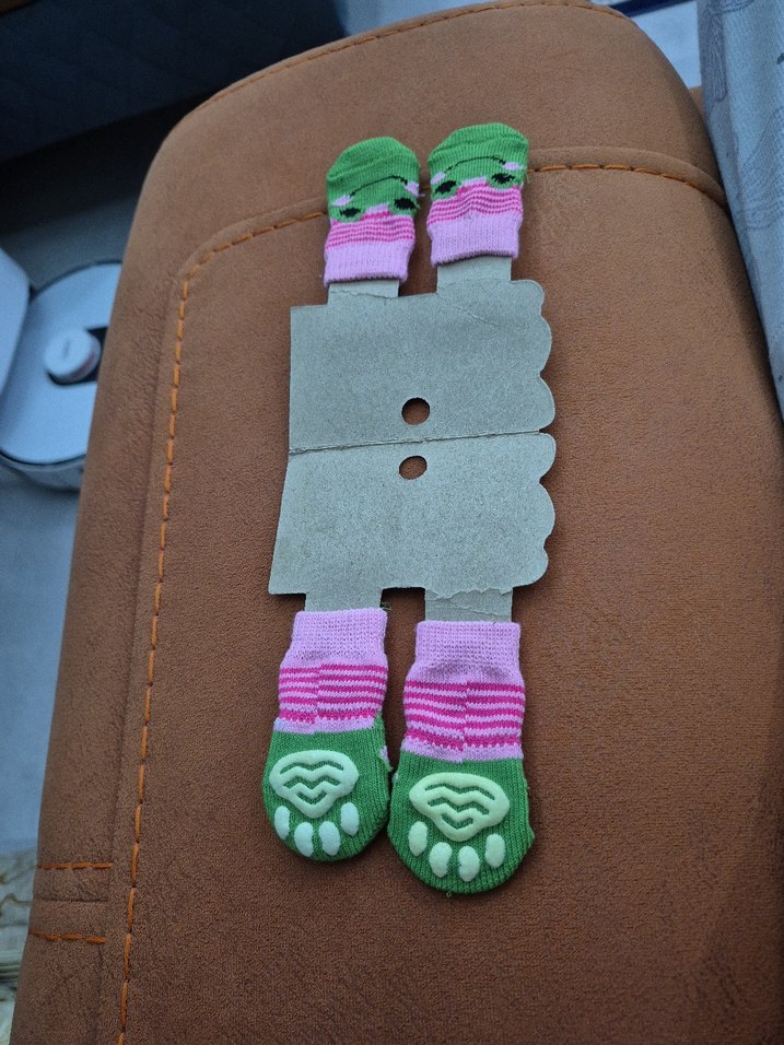 Renkli KediÇorapları - Görsel 3