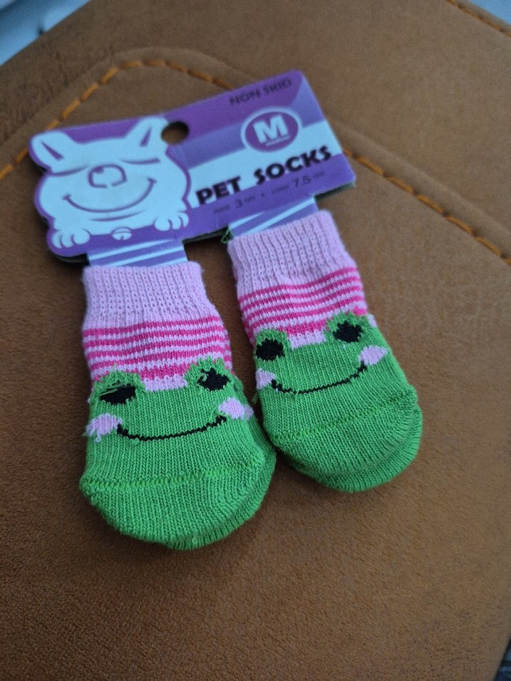 Renkli KediÇorapları - Görsel 2