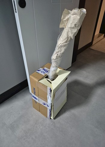 Bej Uzun Saplı Bağlama - Görsel 5