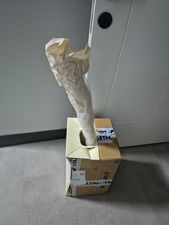 Bej Uzun Saplı Bağlama - Görsel 4