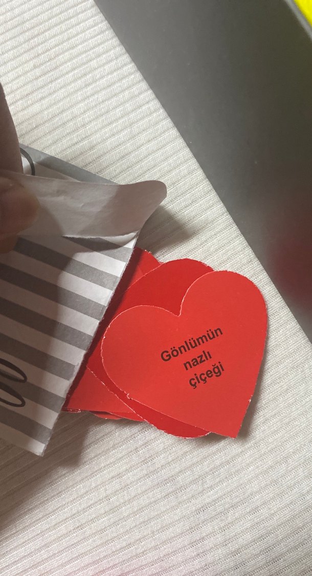 Kahverengi Peluş Ayıcık Oyuncak - Görsel 4