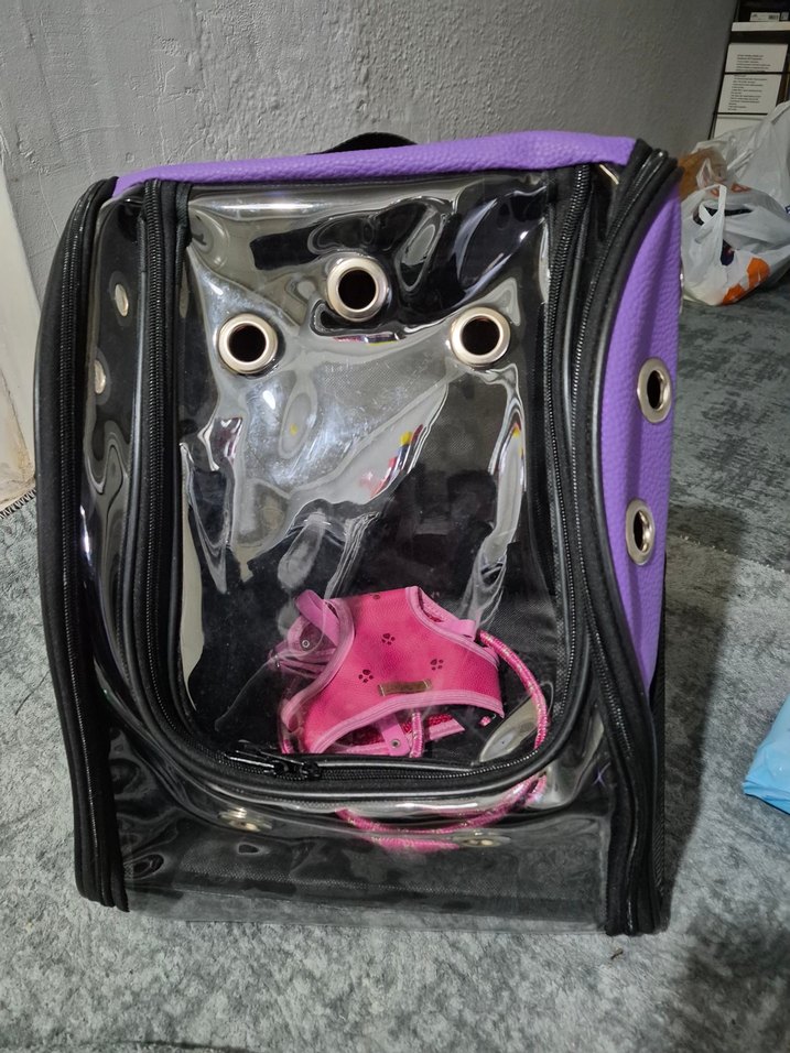 Mor Şeffaf Evcil Taşıma Çantası - Görsel 2