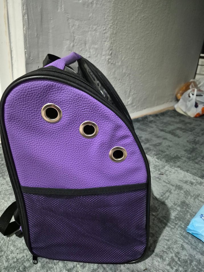 Mor Şeffaf Evcil Taşıma Çantası - Görsel 3