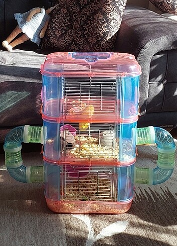 Hamster kafes