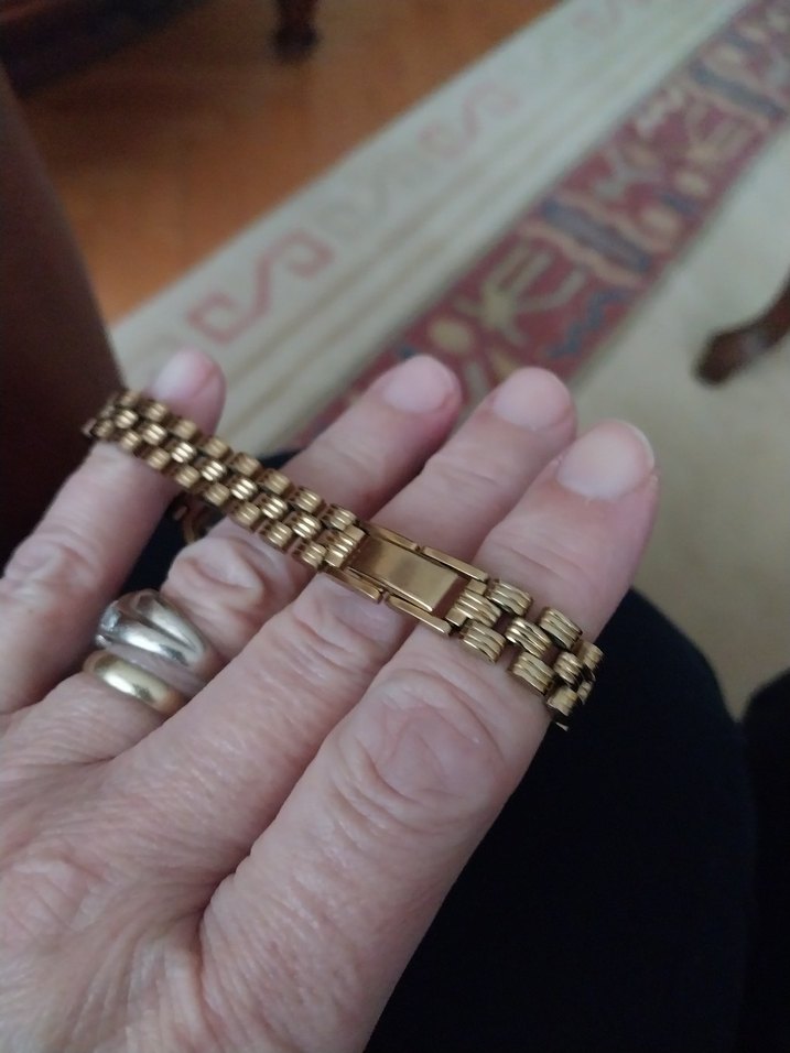 Citizen saat kordonu - Görsel 2