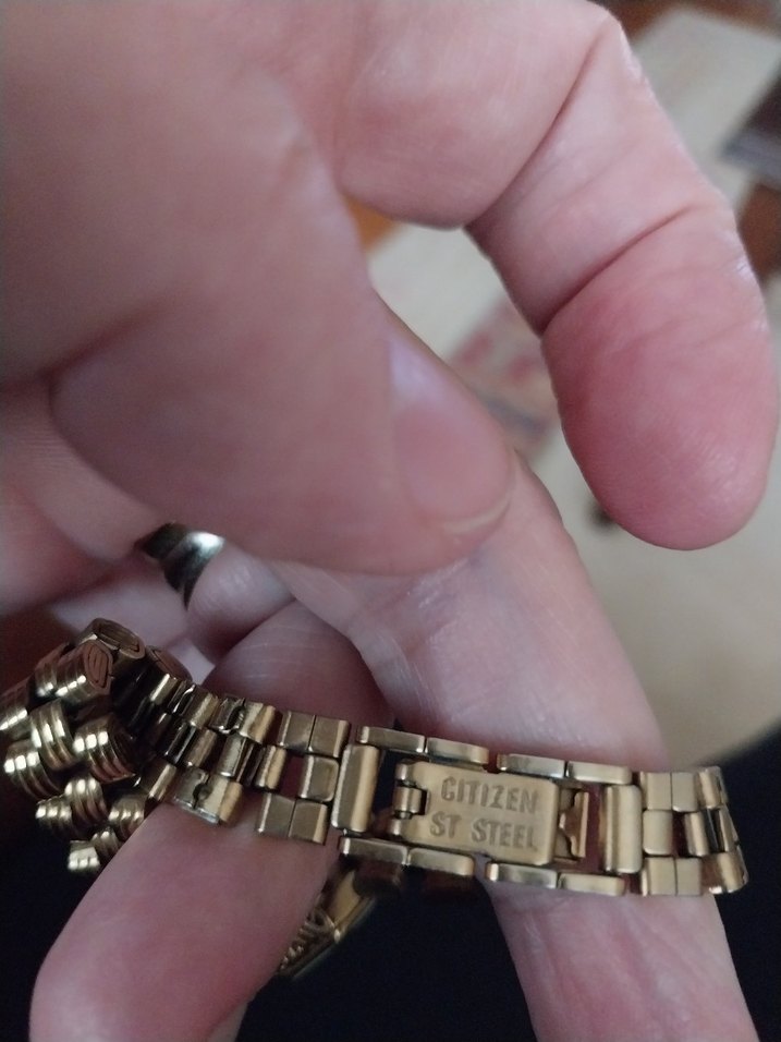 Citizen saat kordonu - Görsel 3