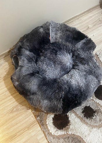 Kedi Tüneli - Görsel 3