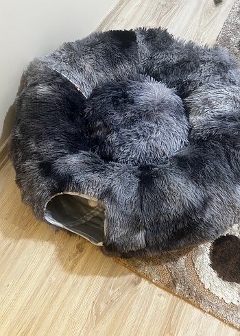 Kedi Tüneli - Görsel 4