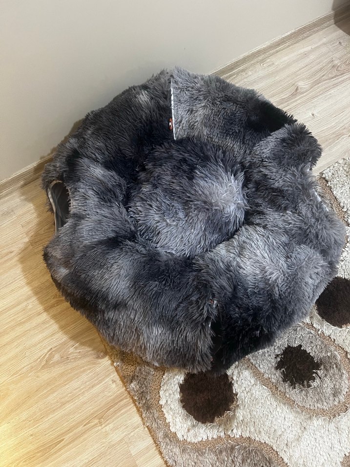 Kedi Tüneli - Görsel 3