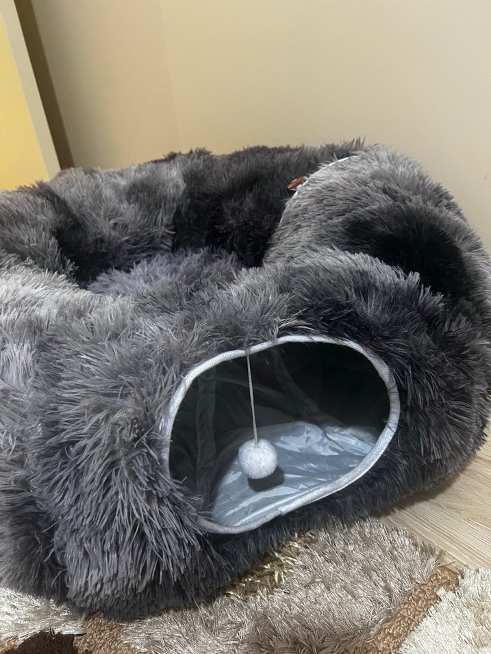 Kedi Tüneli - Görsel 2