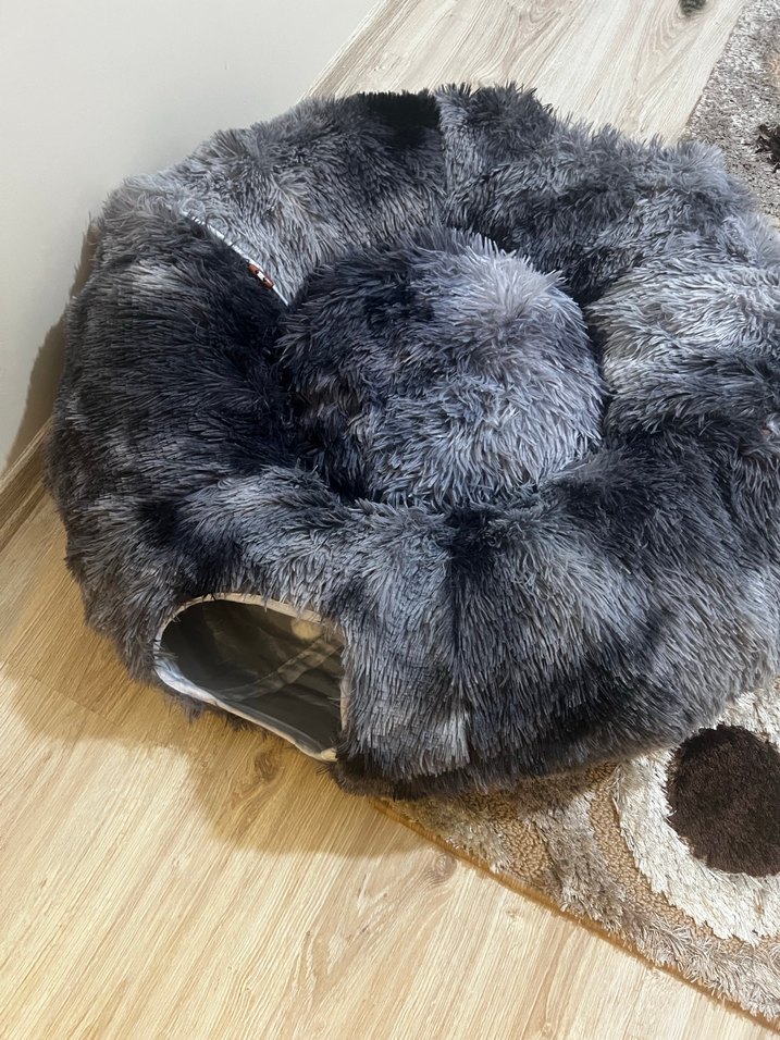 Kedi Tüneli - Görsel 4