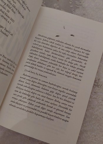 Mirasın Yükü - Tim Walker - Görsel 3