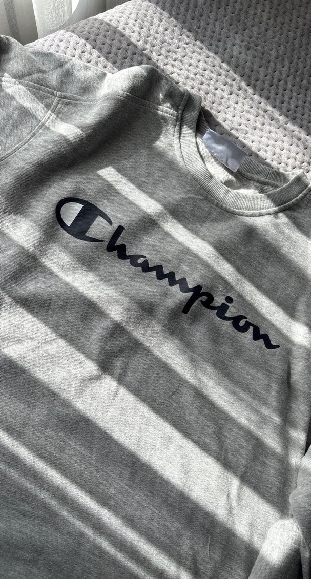 Gri Champion Kadın Uzun Kollu Sweatshirt - Görsel 3