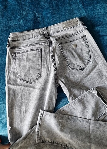 Guess Guess kot