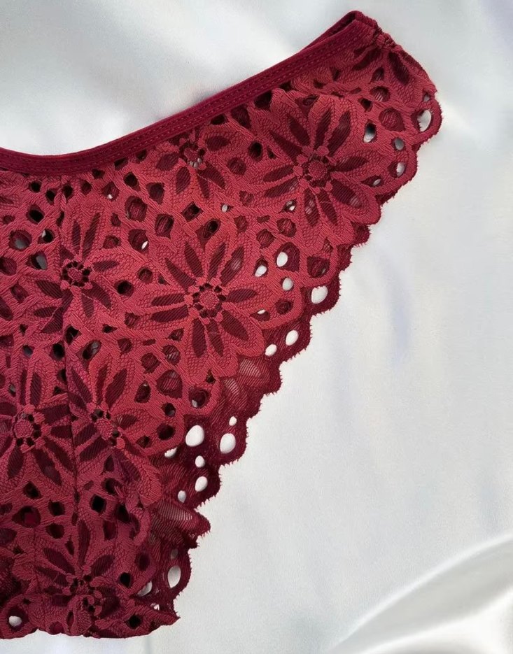 Bordo Nakışlı Bohem Sütyen ve Külot Takımı - Görsel 2