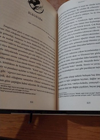 Edgar Allan Poe Bütün Hikayeleri Özel Basım - Görsel 5