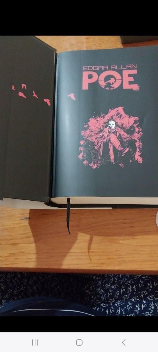 Edgar Allan Poe Bütün Hikayeleri Özel Basım - Görsel 2
