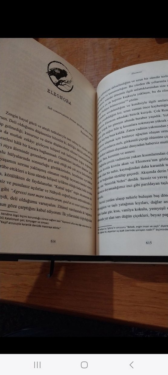 Edgar Allan Poe Bütün Hikayeleri Özel Basım - Görsel 5