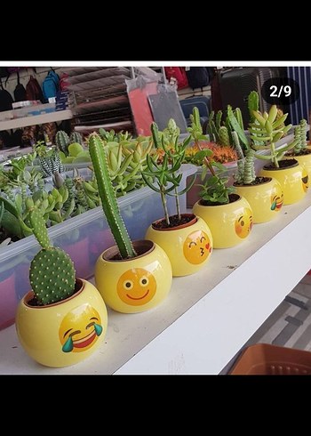 Emoji desenli sarı seramik saksılar - Görsel 10