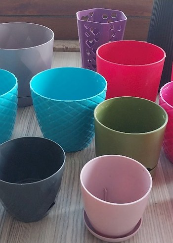 KAKTÜS SAKSI - Görsel 4