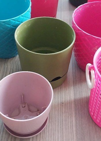 KAKTÜS SAKSI - Görsel 7