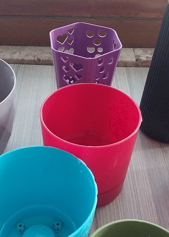 KAKTÜS SAKSI - Görsel 6