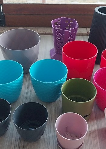 KAKTÜS SAKSI - Görsel 2