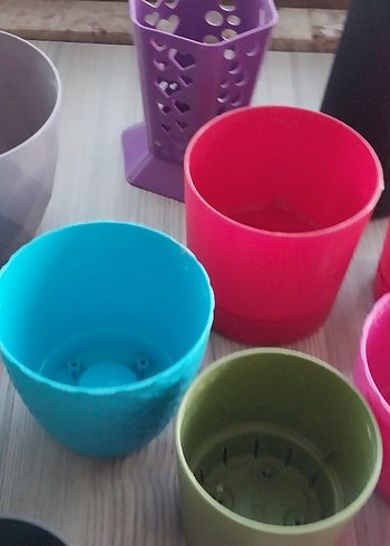 KAKTÜS SAKSI - Görsel 3