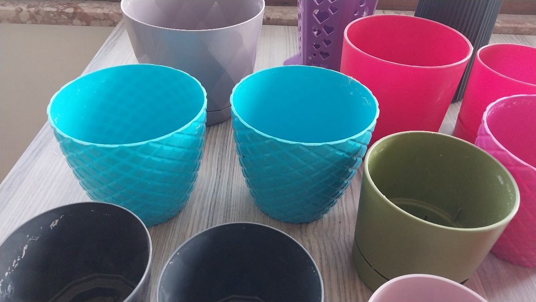 KAKTÜS SAKSI - Görsel 5