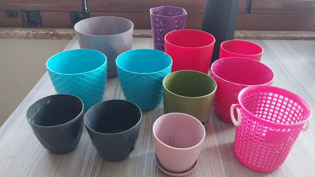 KAKTÜS SAKSI - Görsel 4