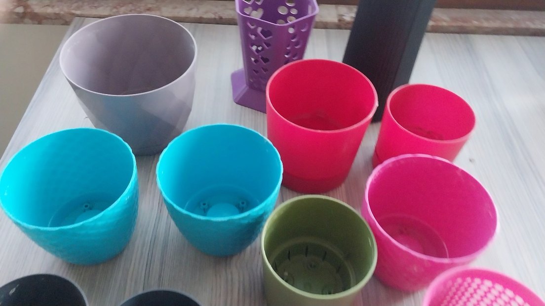 KAKTÜS SAKSI - Görsel 3