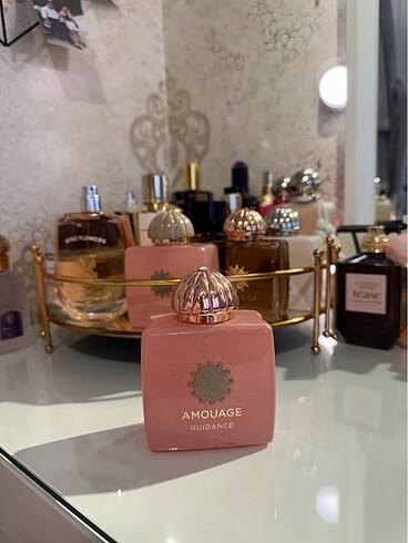 Amouage Guıdance