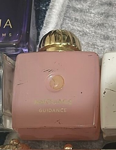 Amouage Guıdance