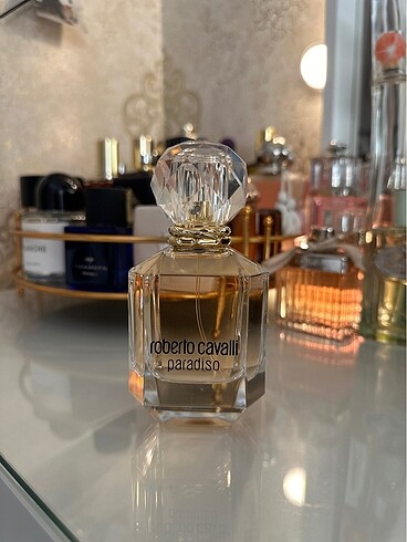 Roberto cavalli Paradiso