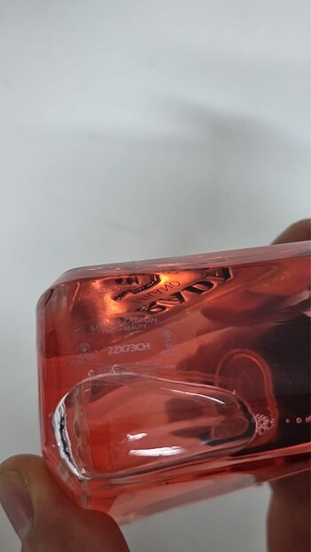 Prada Prada Paradoxe