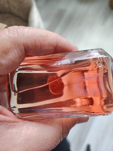 Prada Prada Paradoxe İntense
