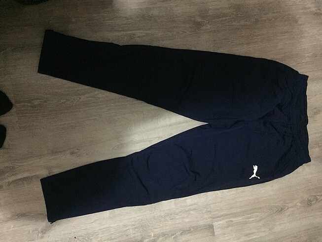 Puma Pumaa