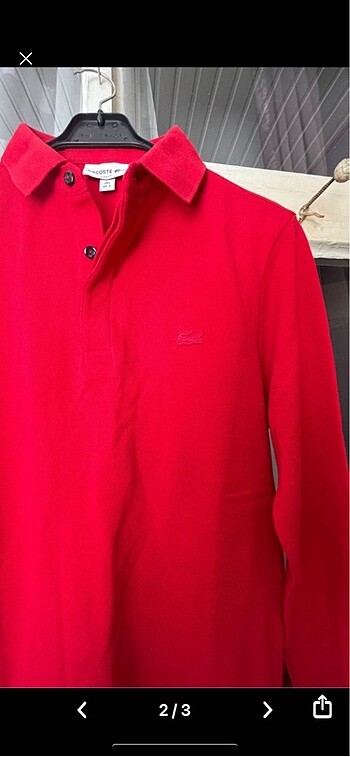 Lacoste Lacoste sweat