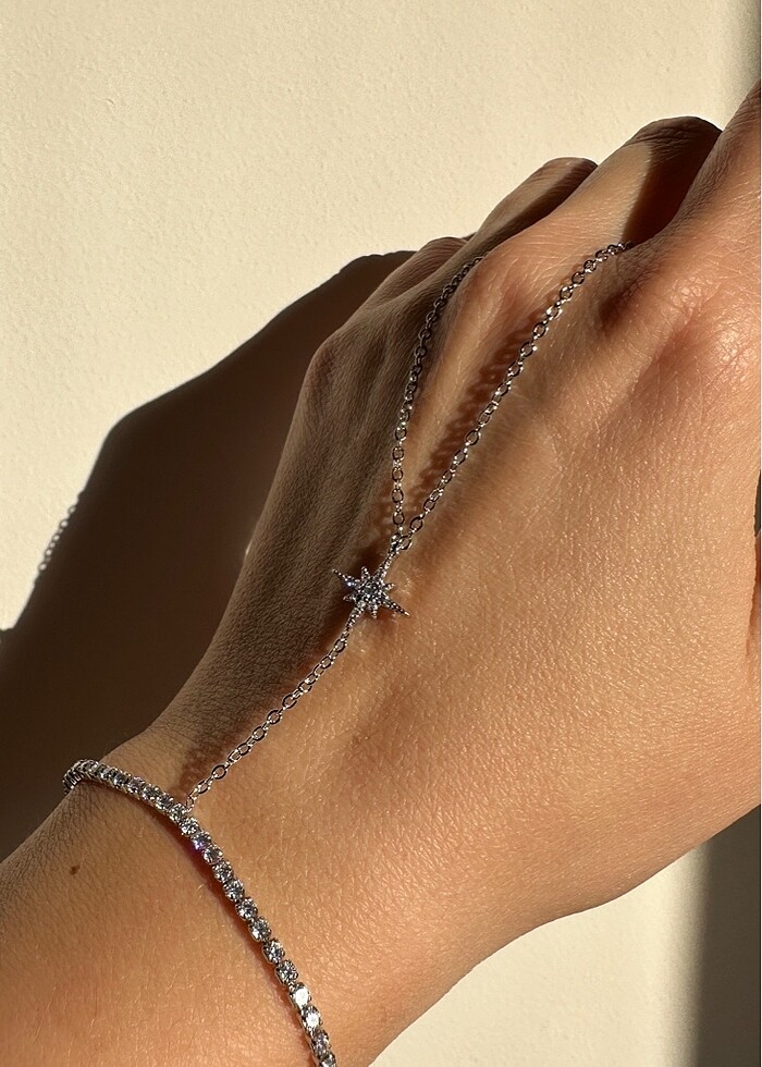 Çelik silver şahmeran - Görsel 2