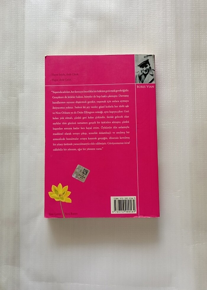 Boris Vian - Günlerin Köpüğü  - Görsel 2