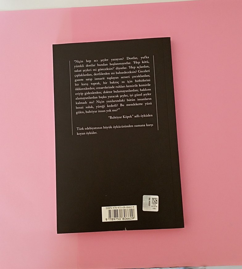 Sabahattin Ali - Sırça Köşk - Görsel 2