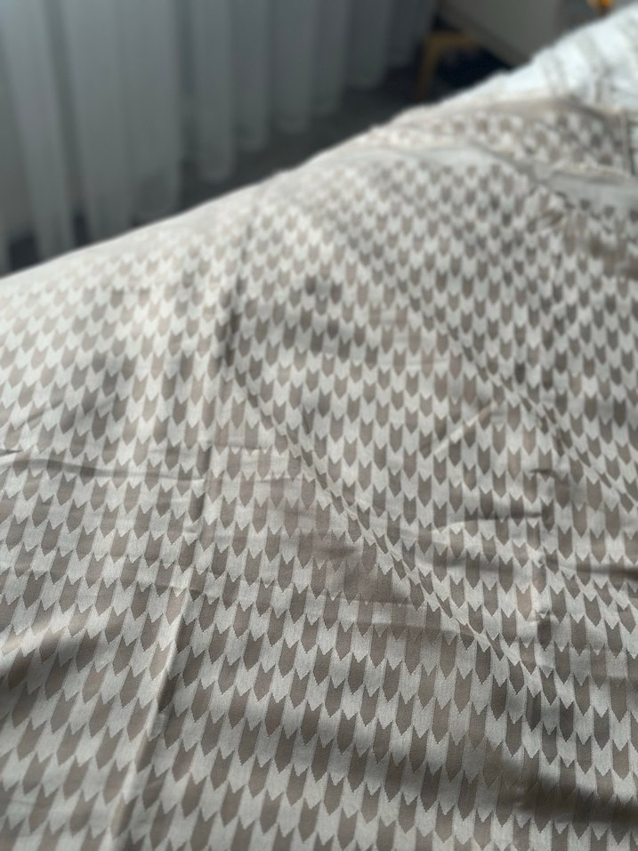 Bej Pileli Kadın Şal - Görsel 3